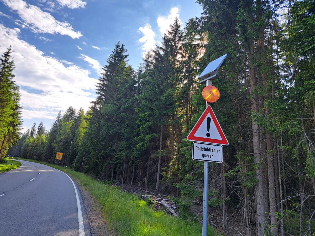 Besuch im Nationalpark Bayerischer&nbsp;Wald